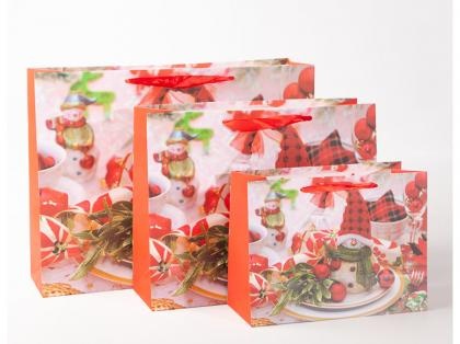 Snowman Design Paper Gift Bag With Handle